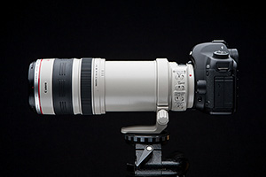 Нелегкая универсальность: Canon EF 28-300/3.5-5.6L IS USM.