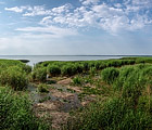 Королевский бор, вид со смотровой площадки на Куршский залив.