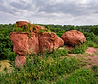 Курортный парк Кисловодска. Красные грибы.