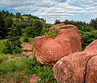 Курортный парк Кисловодска. Красные грибы.