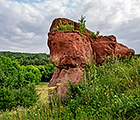 Курортный парк Кисловодска. Красные грибы.