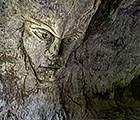 Пещера Дырявые скалы с ликом на стене. Кто-то называет лик существа Горным королем.