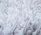 Снегопад в Закопане