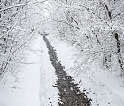 Снегопад в Закопане